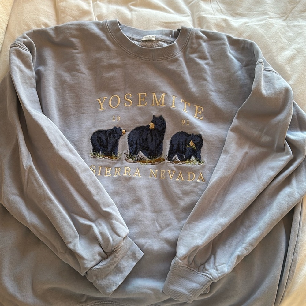 BRANDY MELVILLE light blue Yosemite crewneck